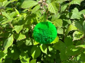 Bright Green Single Pom Keyring