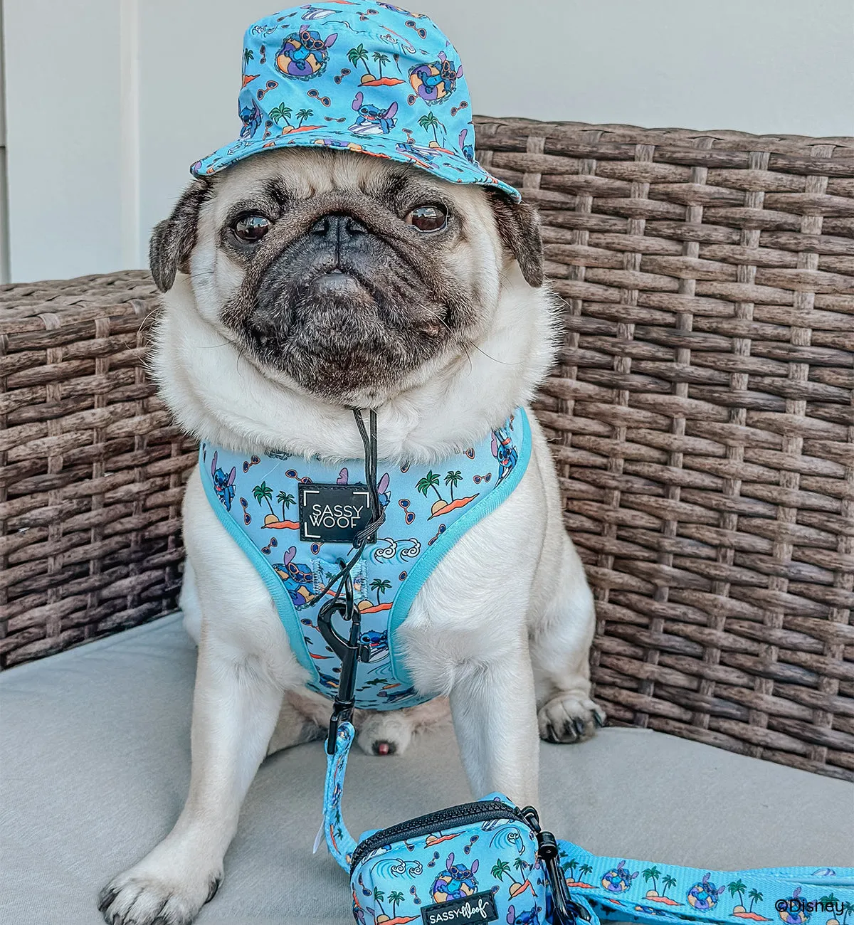 Dog Bucket Hat - Disney's Stitch