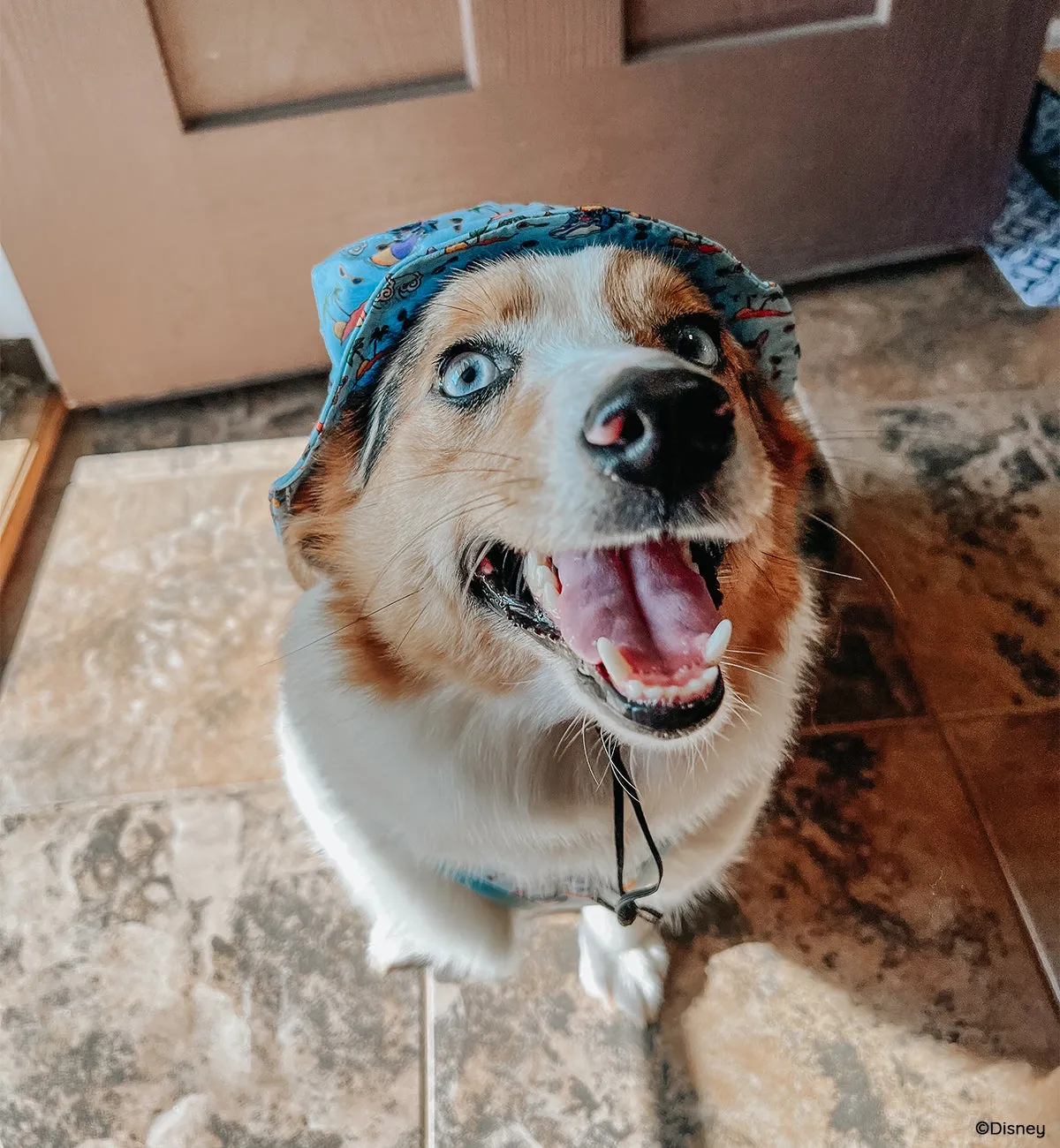 Dog Bucket Hat - Disney's Stitch