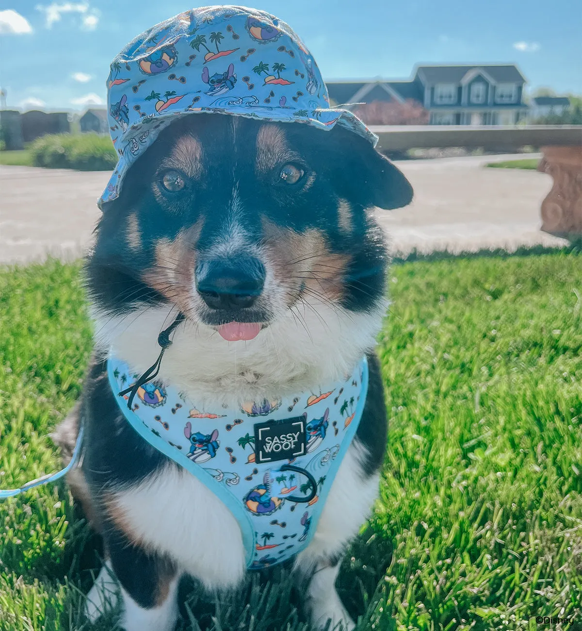 Dog Bucket Hat - Disney's Stitch